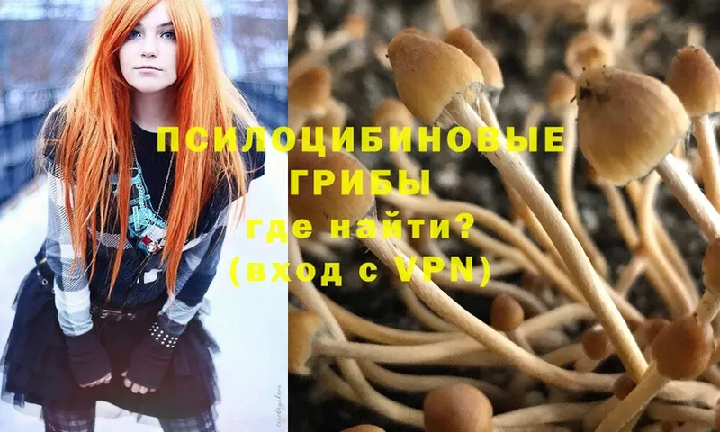 Псилоцибиновые грибы Psilocybe  hydra как войти  Кирово-Чепецк 